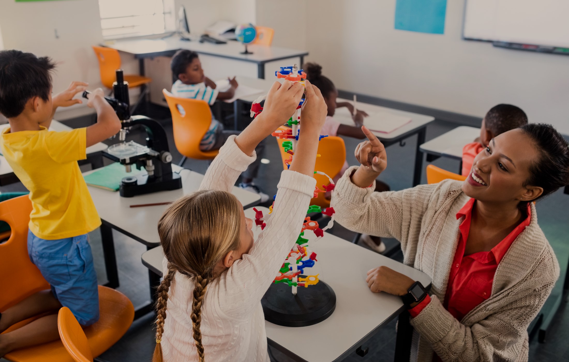 Innovación Curricular